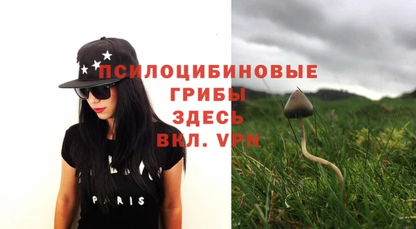 дмт Новокубанск