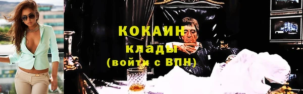 дмт Новокубанск