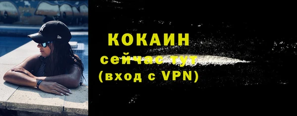 прущий лед Новозыбков
