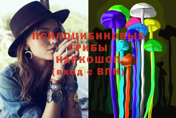 винт Няндома