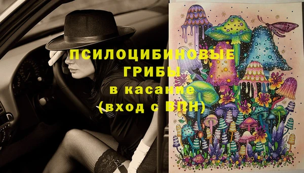a pvp Новодвинск