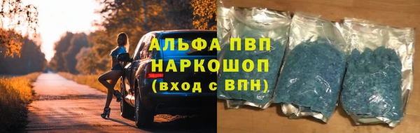 винт Няндома