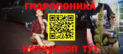 крисы Краснодар