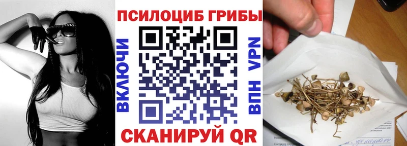 Псилоцибиновые грибы Psilocybe  ОМГ ОМГ ONION  Острогожск 