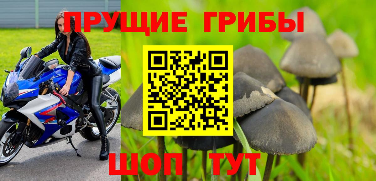 Псилоцибиновые грибы Psilocybe  Вход с VPN  Острогожск 